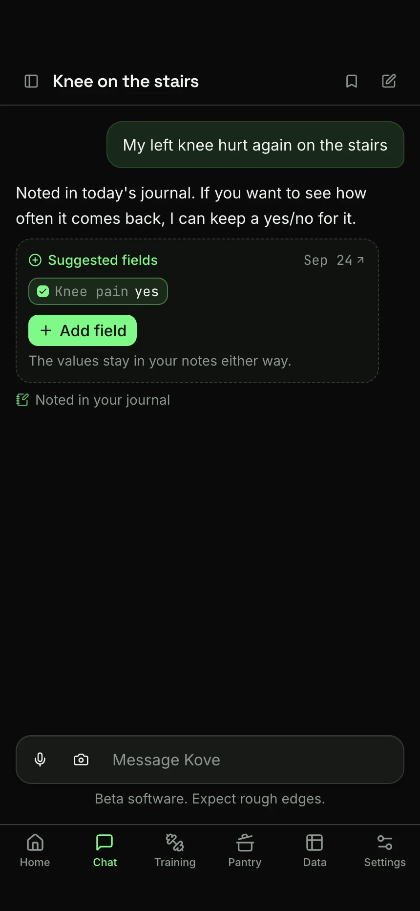 Kove answering “My left knee hurt again on the stairs”: it noted the line in the journal and offers a new yes/no field, Knee pain, with an Add field button.